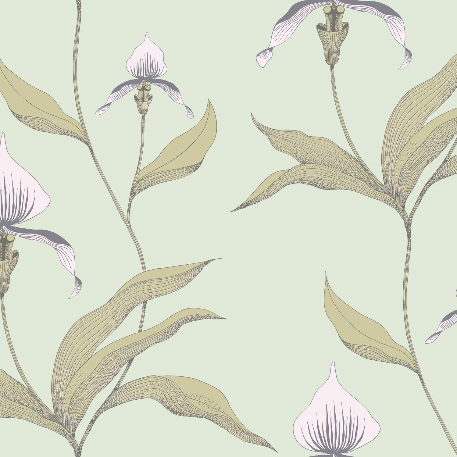 ORCHID 66/4028 TAPETA COLE&SON