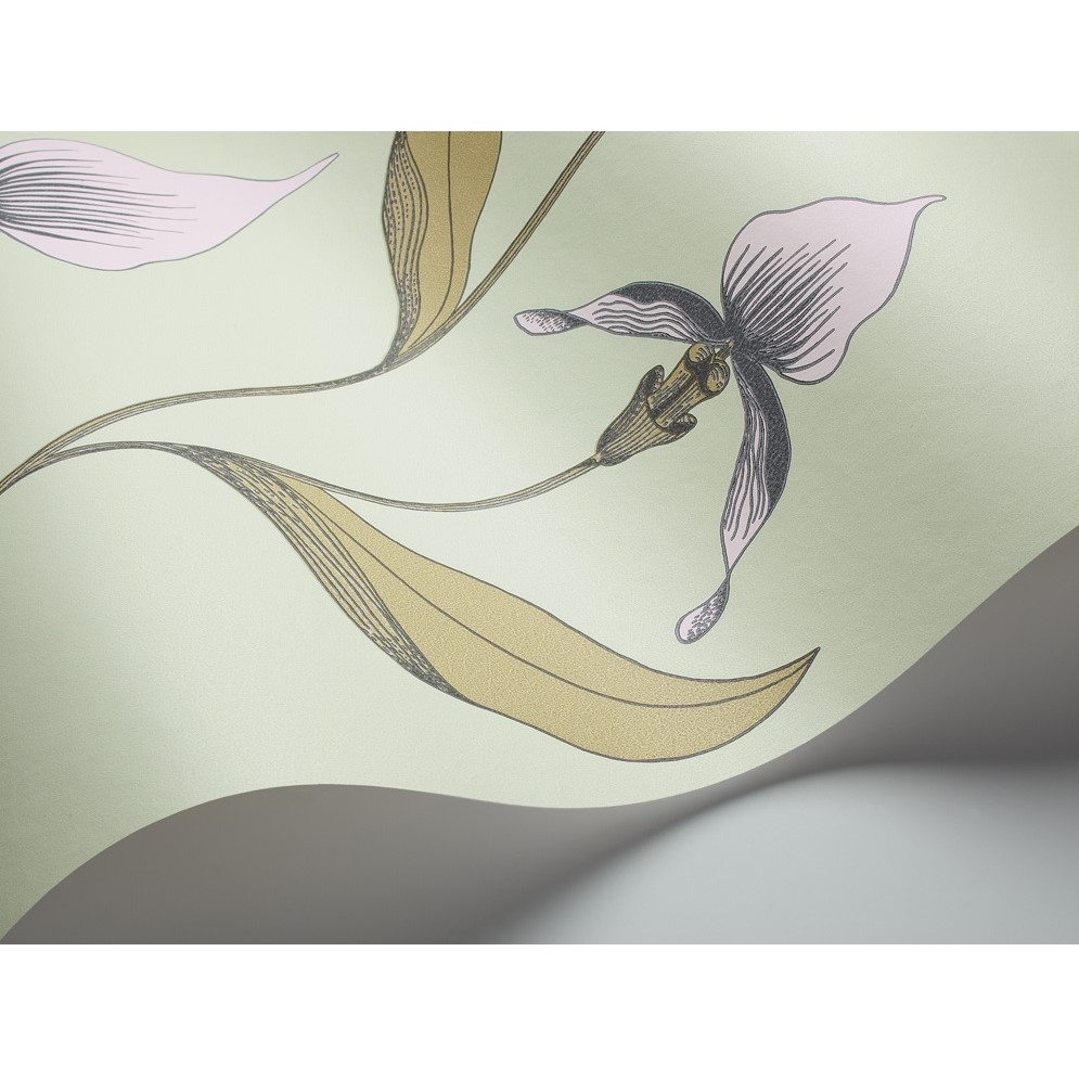 ORCHID 66/4028 TAPETA COLE&SON