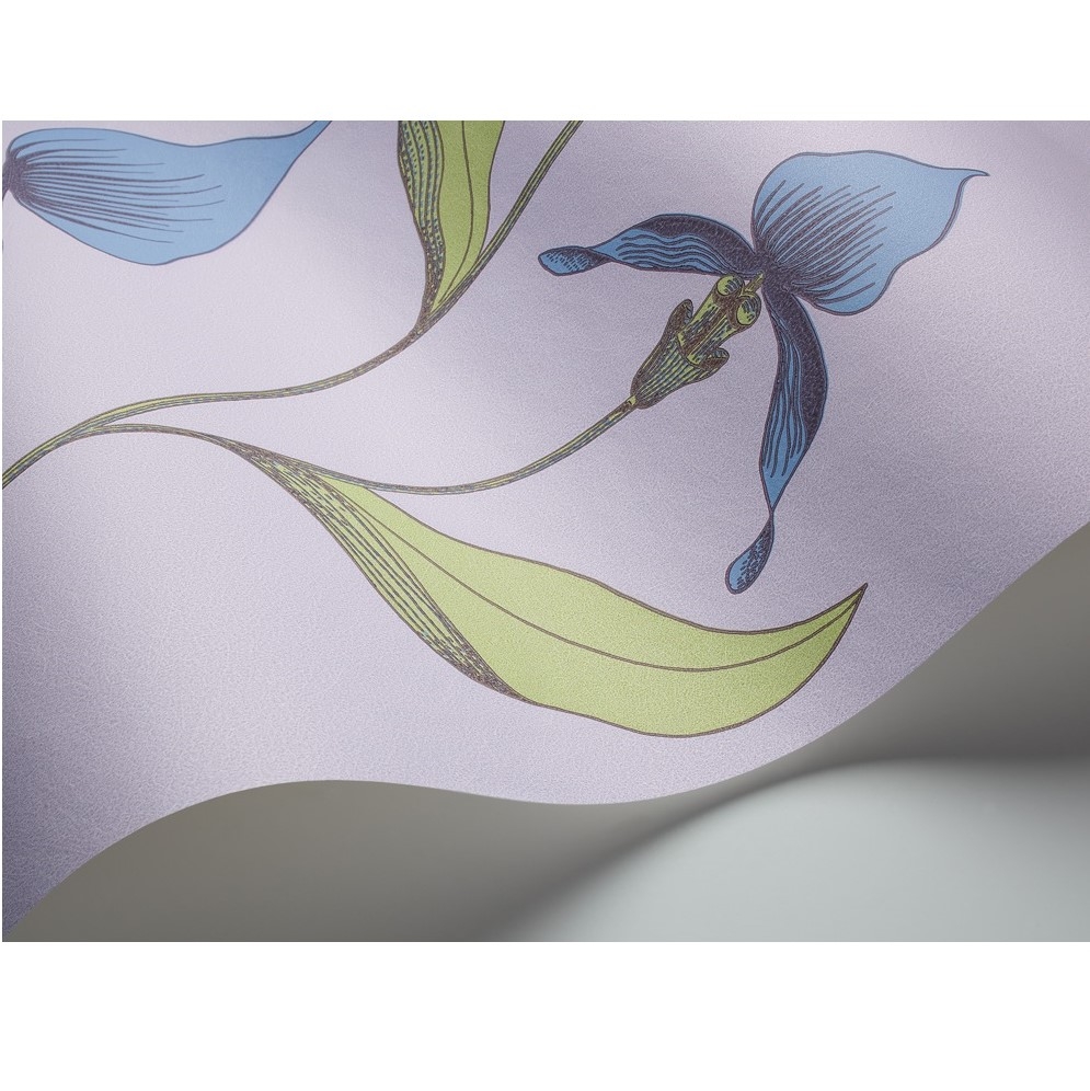 ORCHID 66/4031 TAPETA COLE&SON