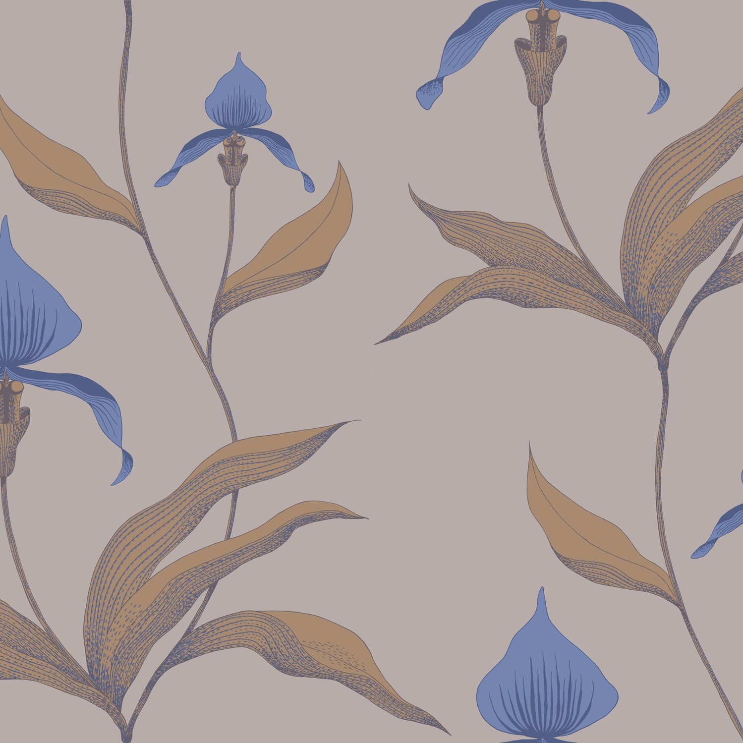 ORCHID 66/4032 TAPETA COLE&SON