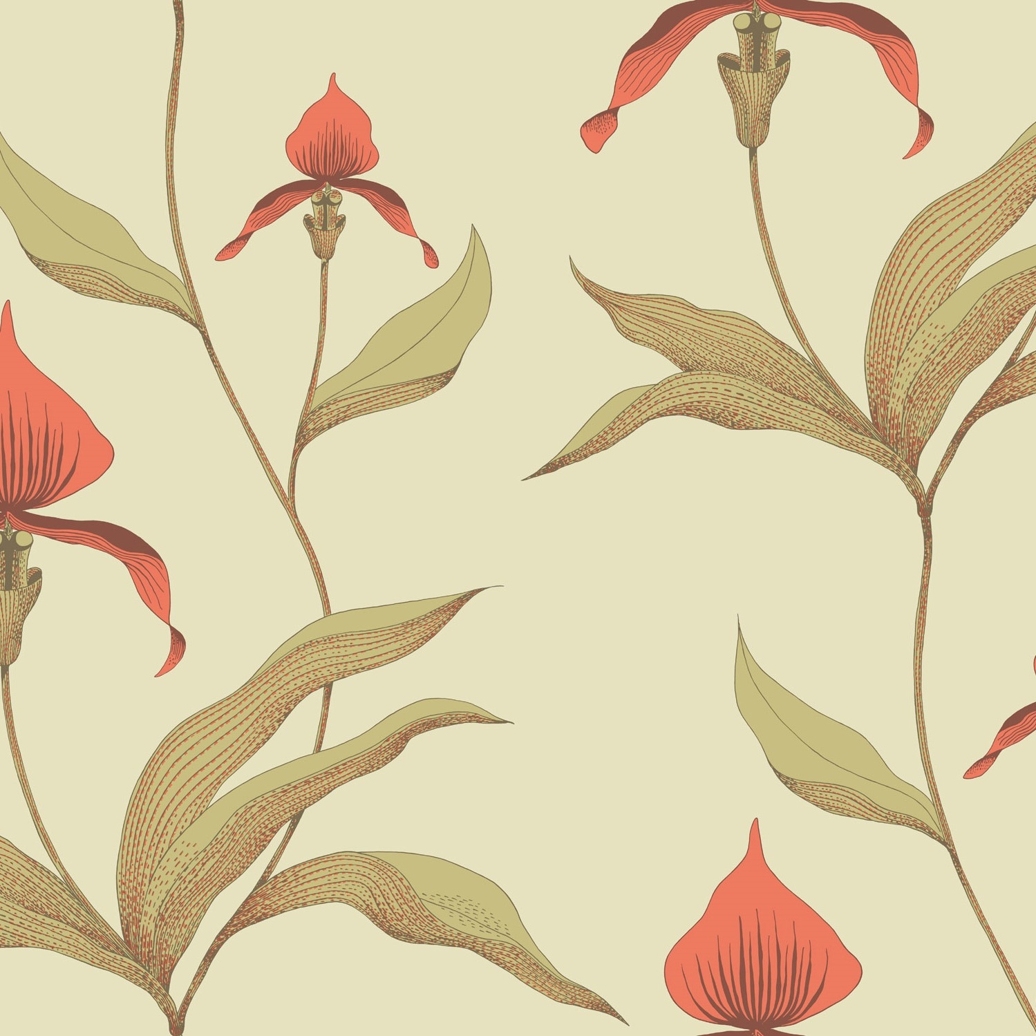 ORCHID 66/4033 TAPETA COLE&SON