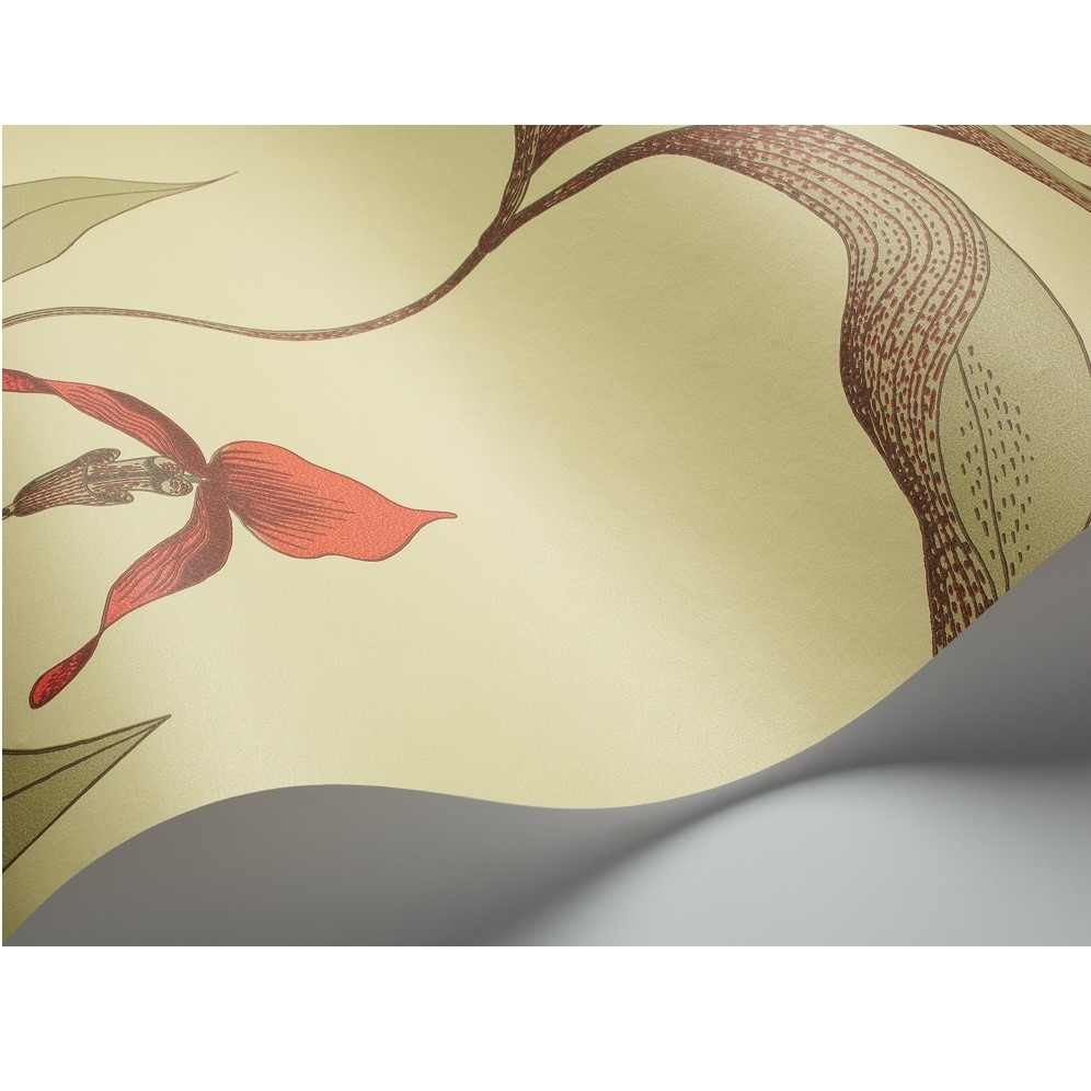 ORCHID 66/4033 TAPETA COLE&SON