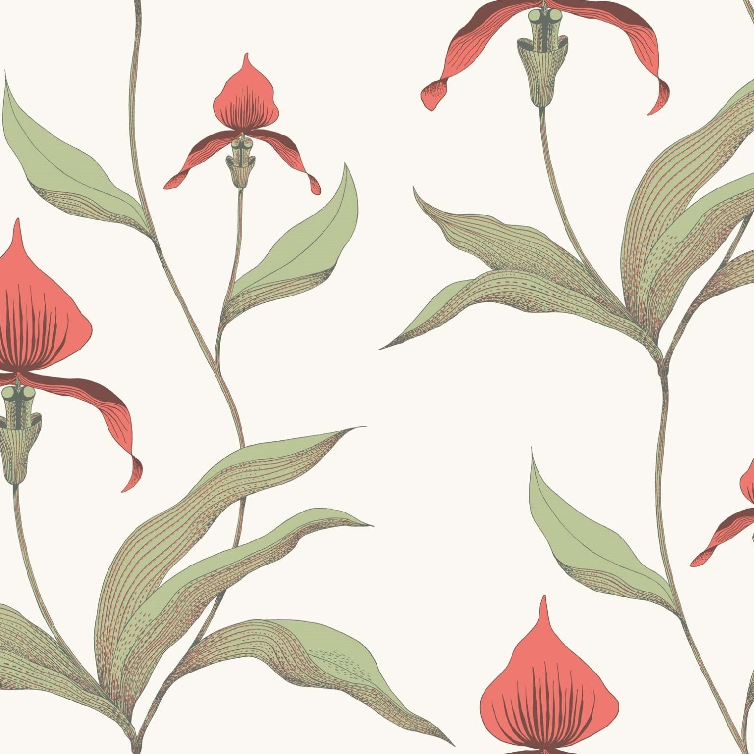 ORCHID 95/10054 TAPETA COLE&SON