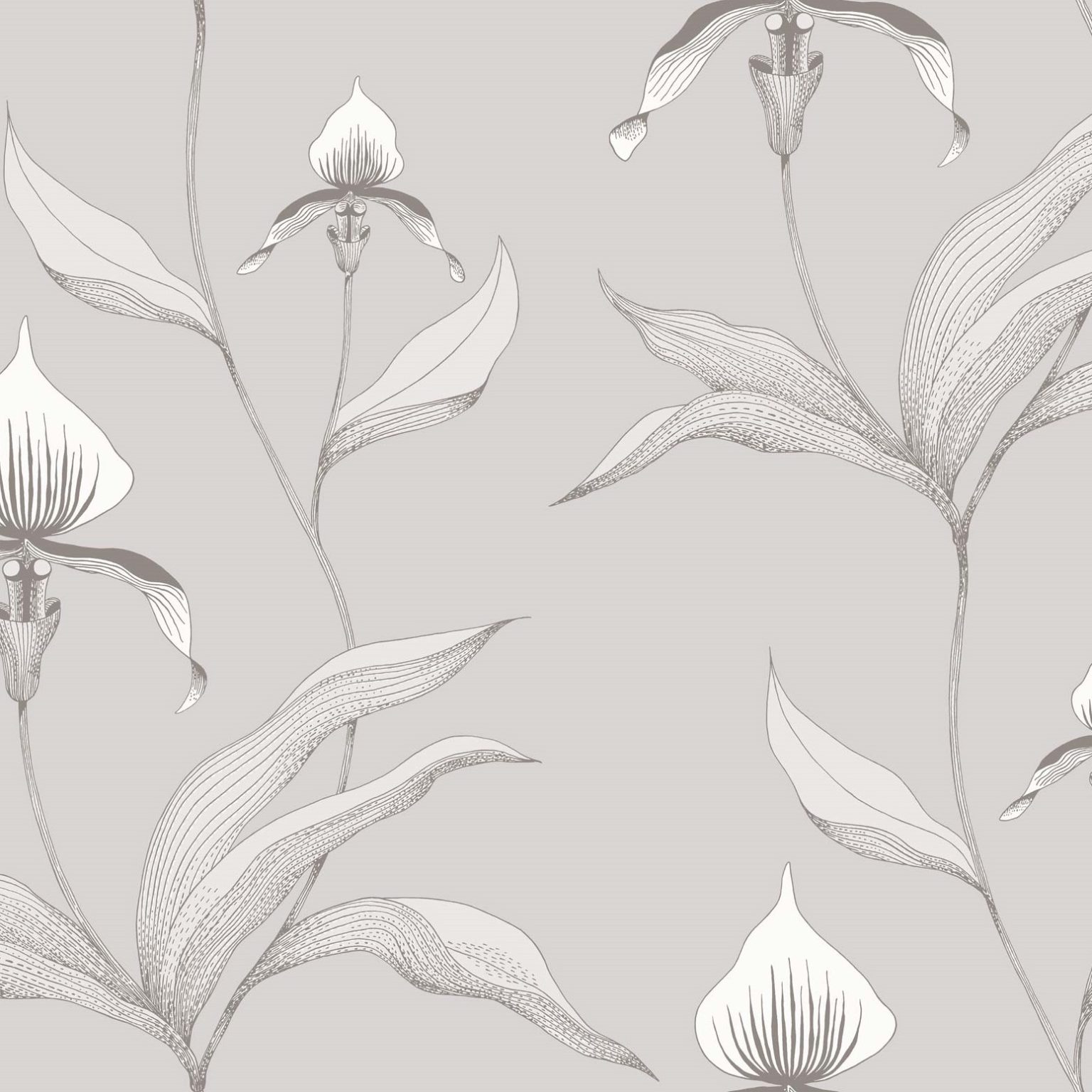 ORCHID 95/10055 TAPETA COLE&SON