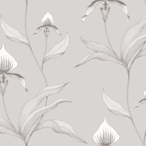 ORCHID 95/10055 TAPETA COLE&SON