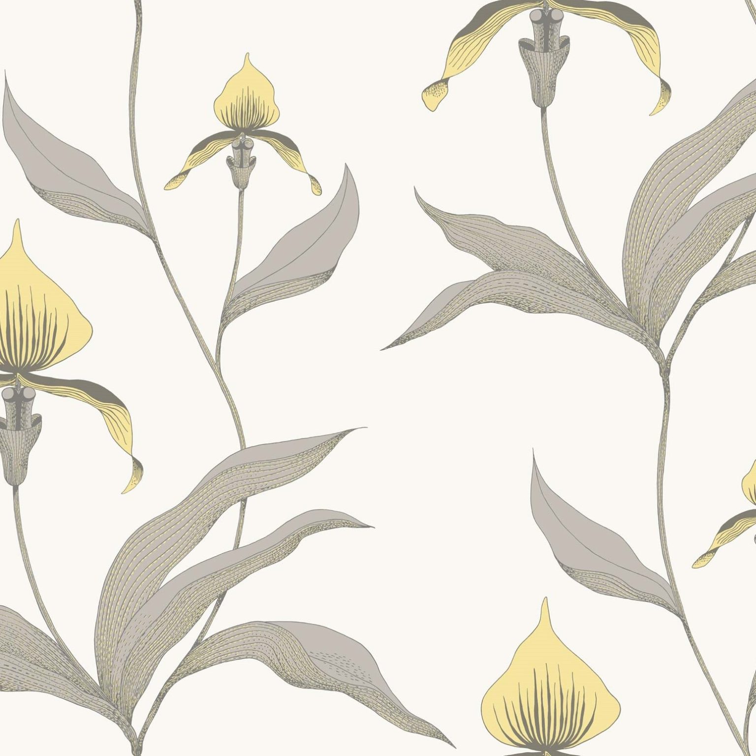 ORCHID 95/10057 TAPETA COLE&SON