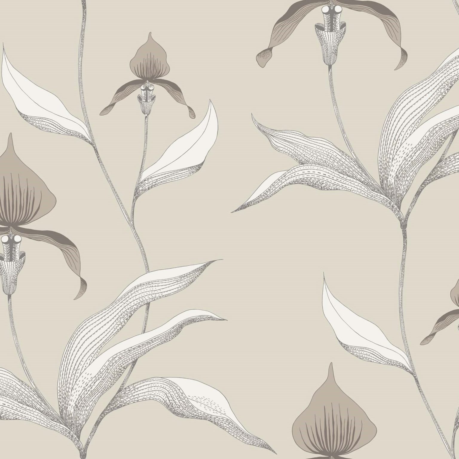 ORCHID 95/10058 TAPETA COLE&SON