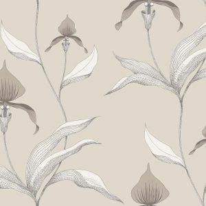 ORCHID 95/10058 TAPETA COLE&SON