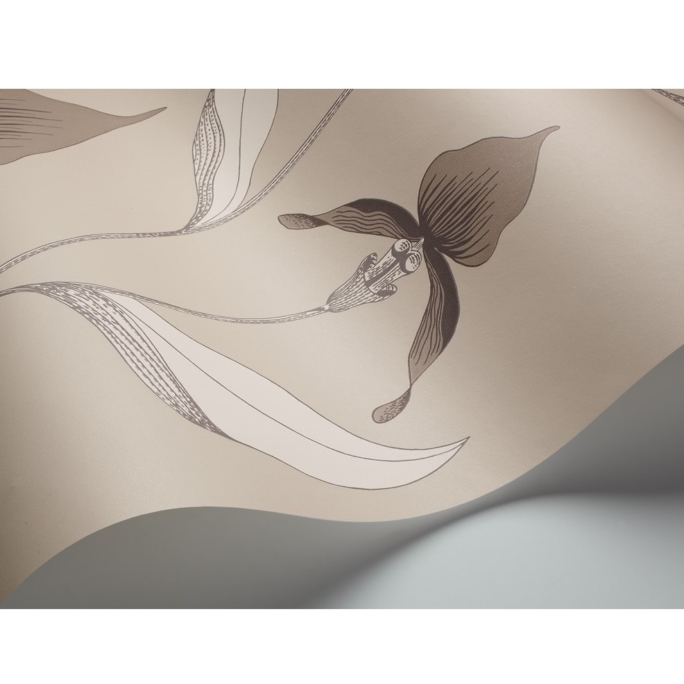 ORCHID 95/10058 TAPETA COLE&SON