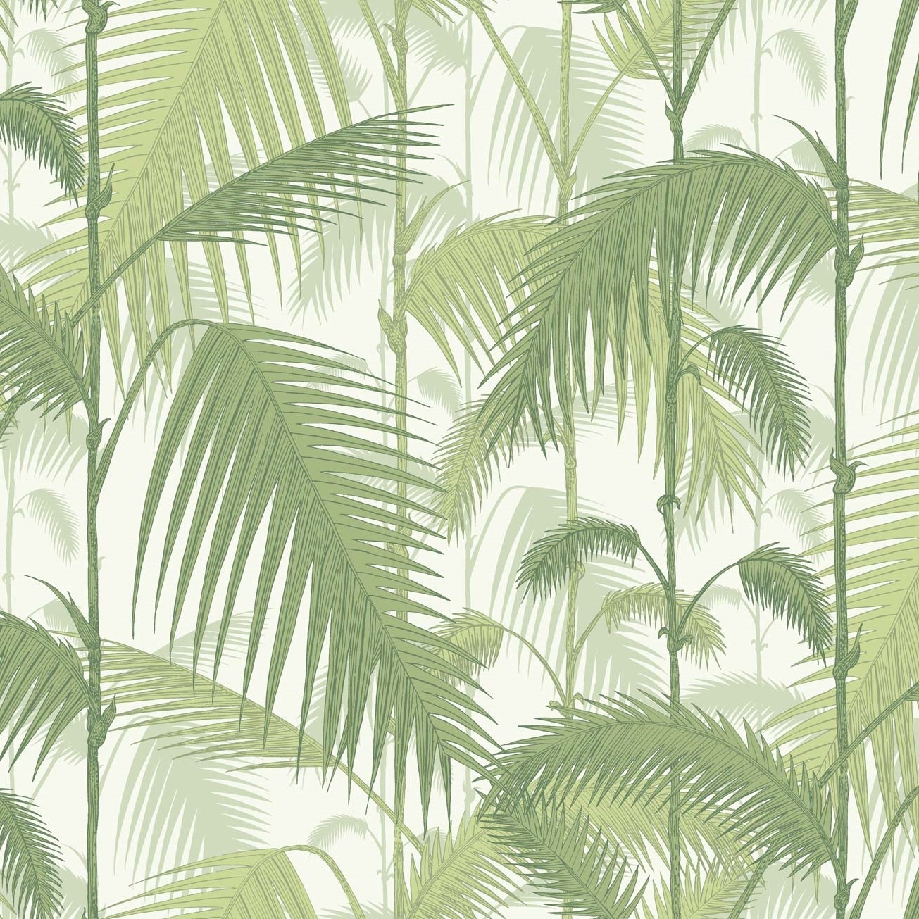 PALM JUNGLE 95/1001 TAPETA COLE&SON
