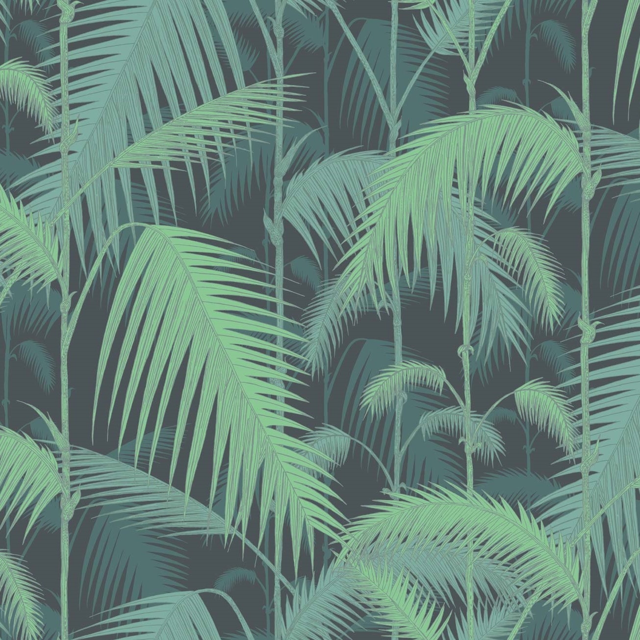 PALM JUNGLE 95/1003 TAPETA COLE&SON