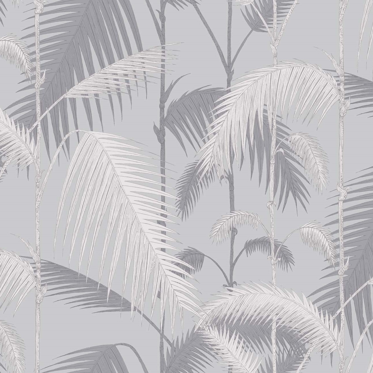 PALM JUNGLE 95/1007 TAPETA COLE&SON