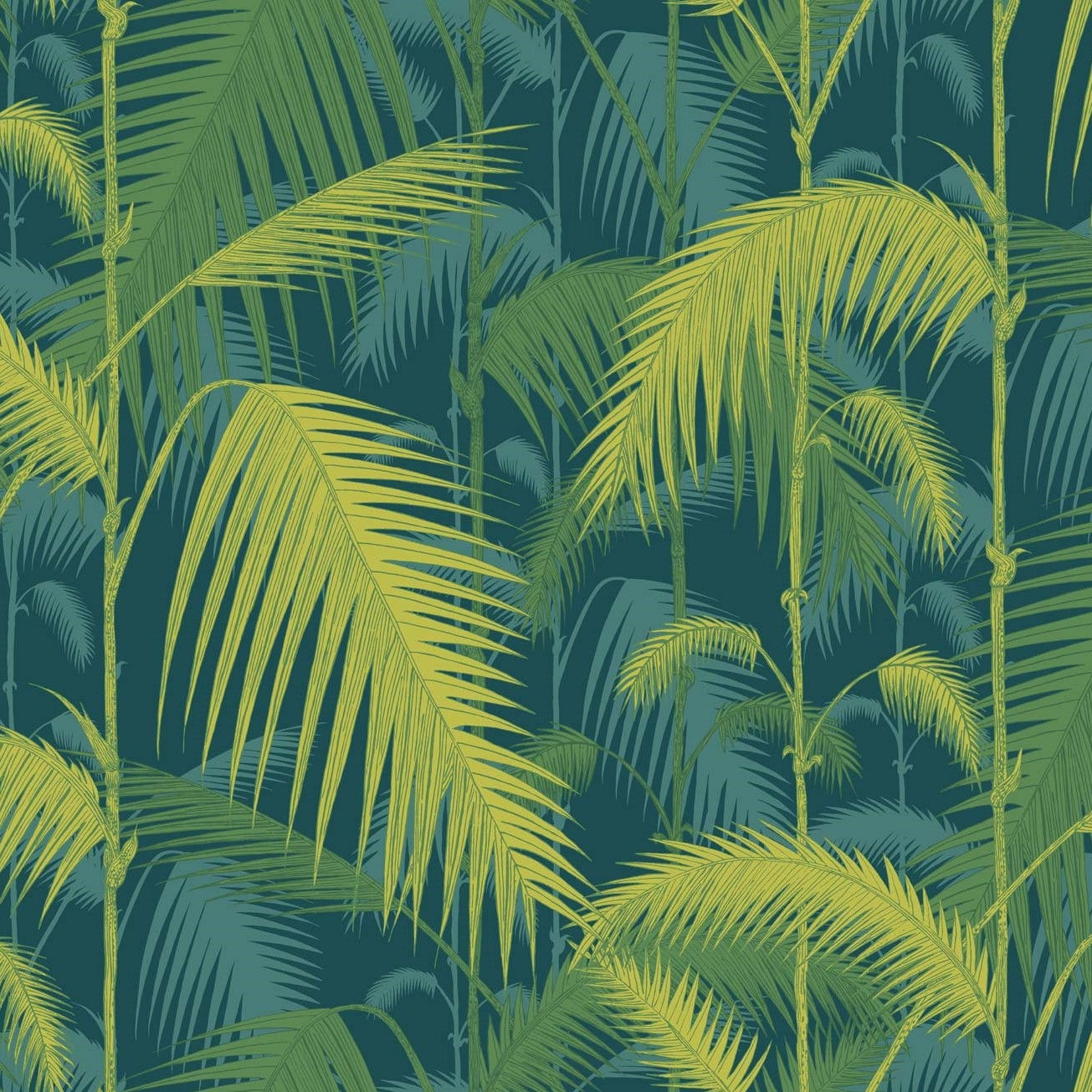 PALM JUNGLE 112/1002 TAPETA COLE&SON