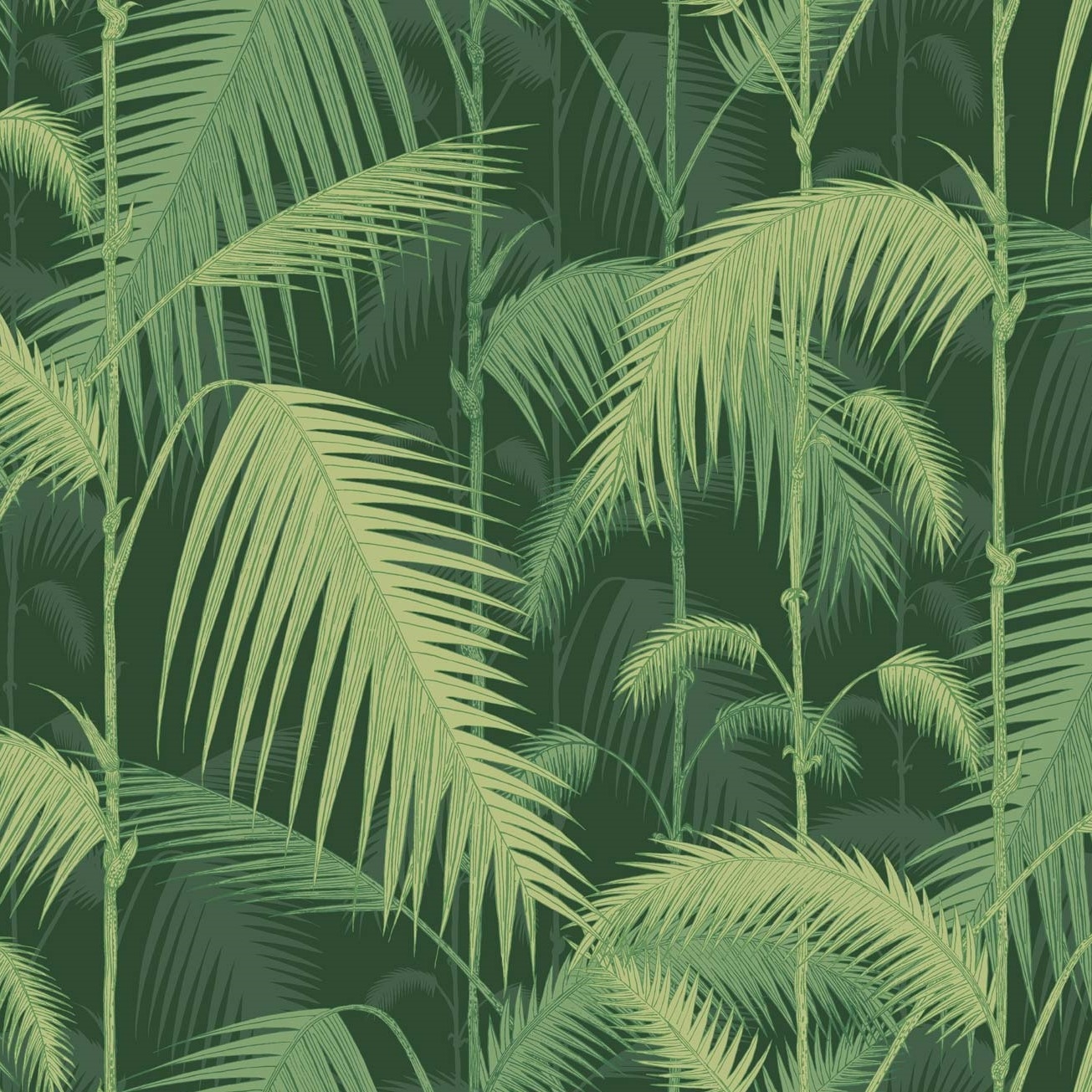 PALM JUNGLE 112/1003 TAPETA COLE&SON