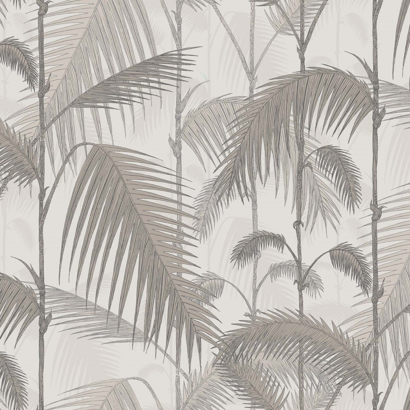 PALM JUNGLE 112/1004 TAPETA COLE&SON