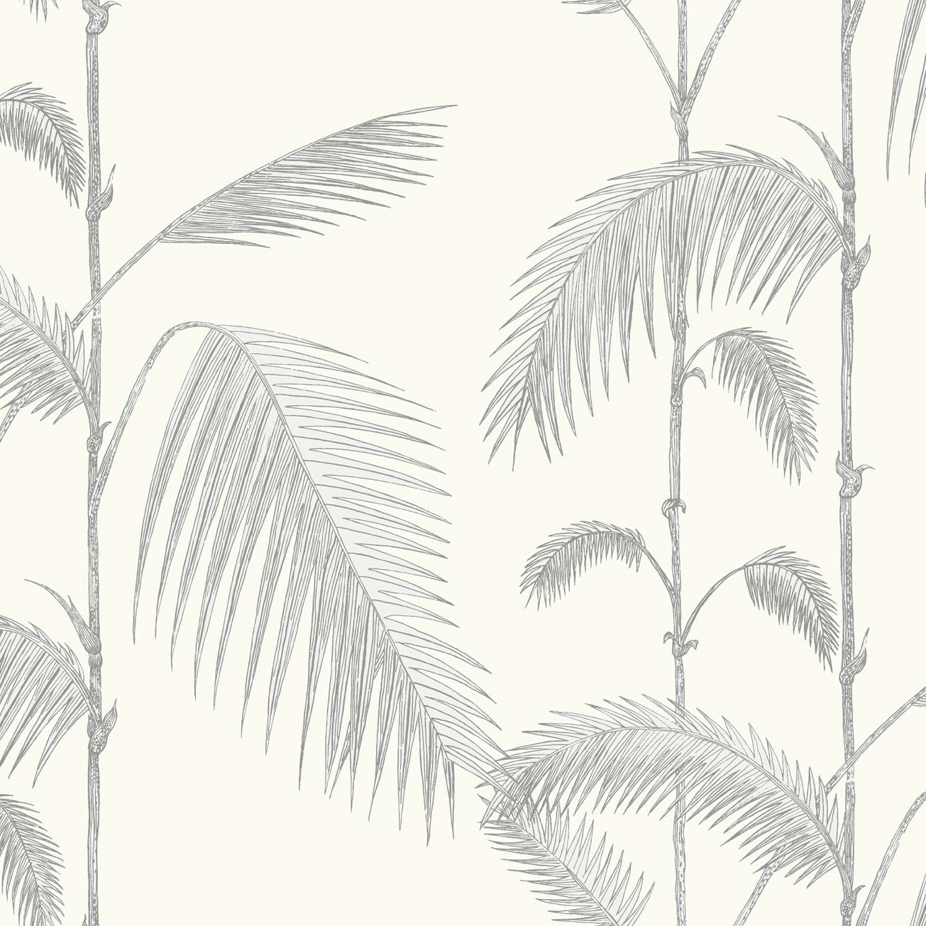 PALM 95/1008 TAPETA COLE&SON