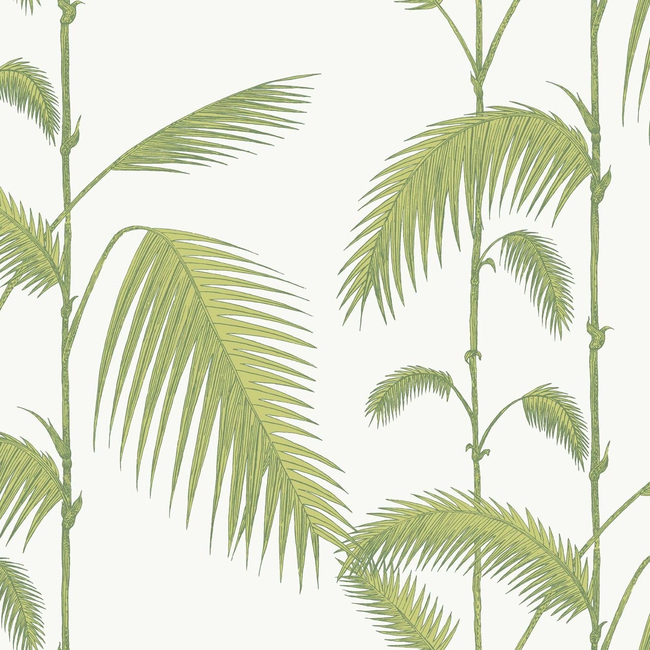 PALM 95/1008 TAPETA COLE&SON