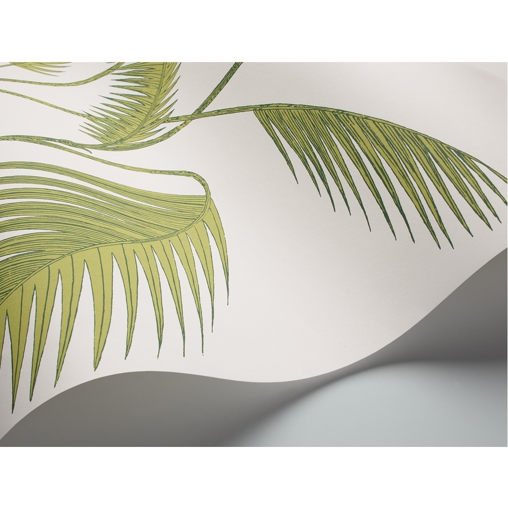 PALM 95/1008 TAPETA COLE&SON