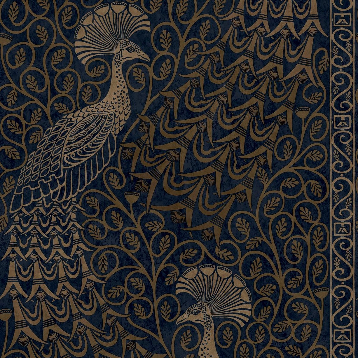 PAVO PARADE 116/8030 (kol. PEARWOOD)