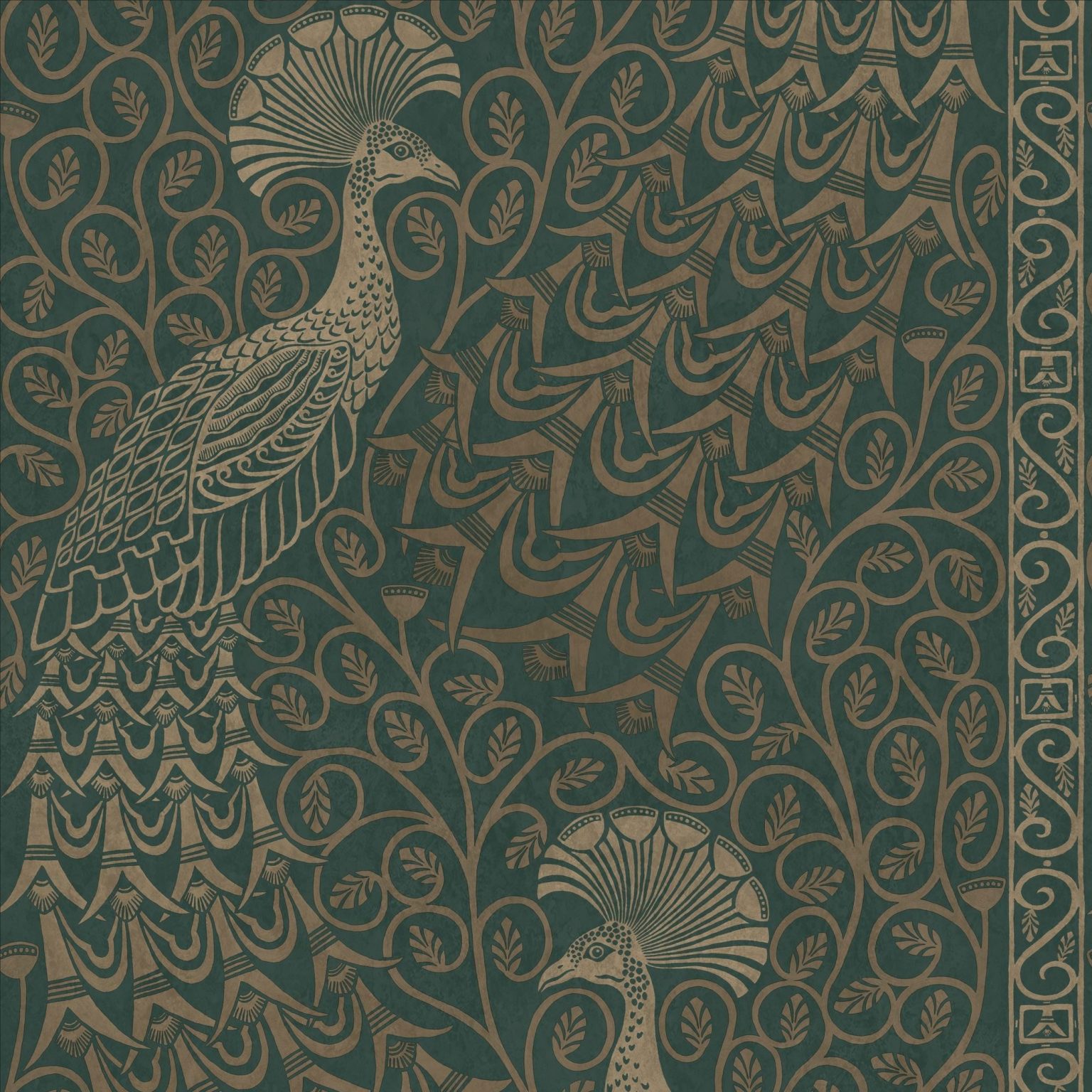 PAVO PARADE 116/8031 (kol. PEARWOOD)