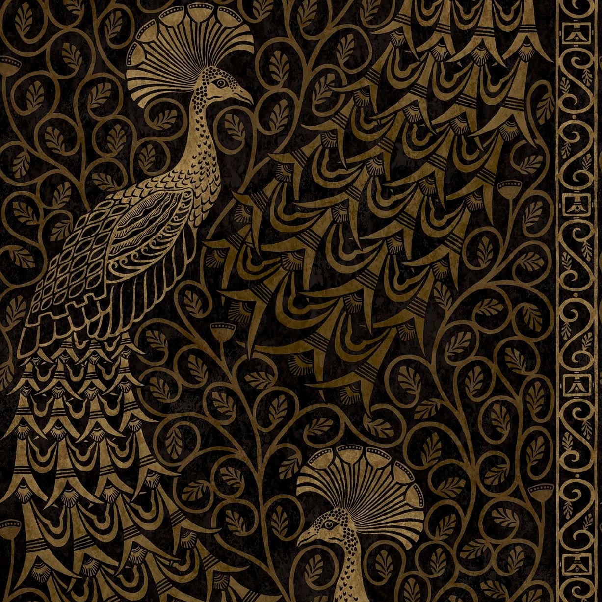 PAVO PARADE 116/8032 (kol. PEARWOOD)