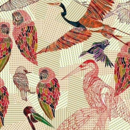 PENCIL BIRDS WDPB1601