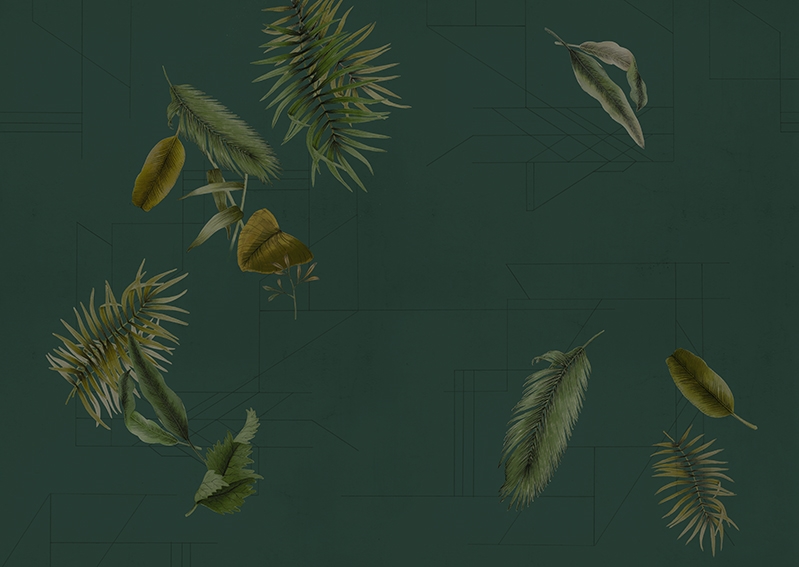 PHYTOGENESIS TAPETA WALL&DECO WDPH1701
