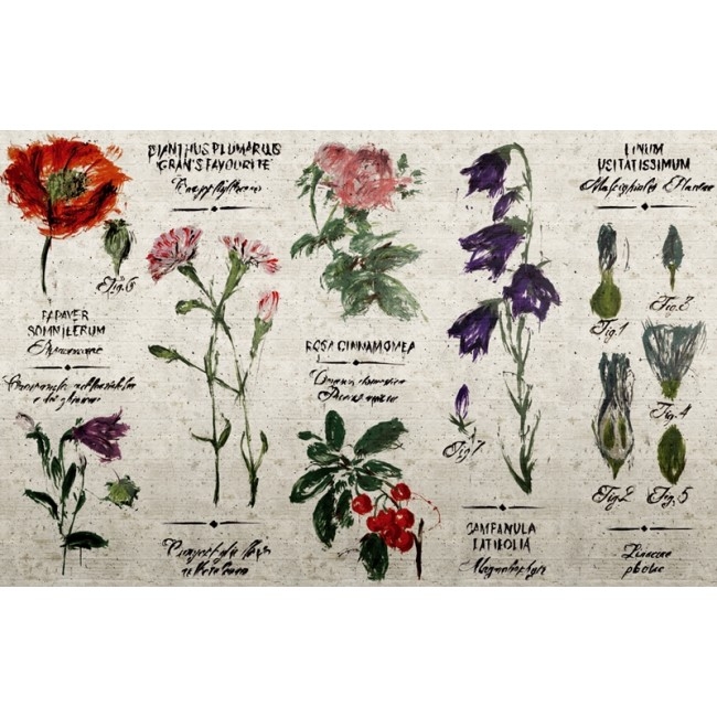 PIANTHUS WDPI1502