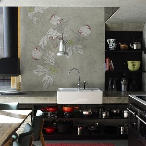 PLATONE TAPETA