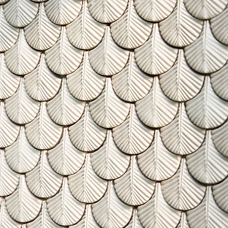 PLUMAGE BOTTEGANOVE