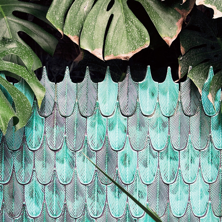 PLUMAGE BOTTEGANOVE
