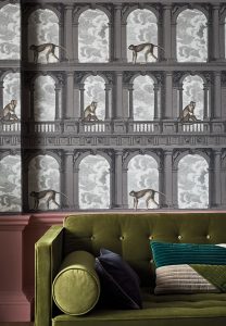 PROCURATIE CON VISTA 114/8016