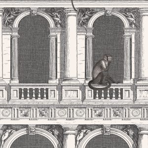 PROCURATIE E SCIMMIE 114/21041