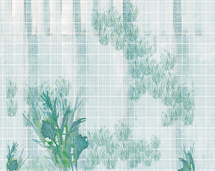 WDQU1701 TAPETA WALL&DECO