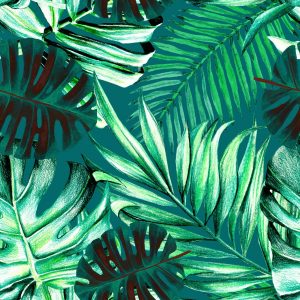 RAINFOREST TAPETA MIND THE GAP