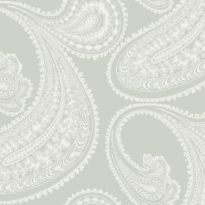 RAJAPUR 66/5036 TAPETA COLE&SON