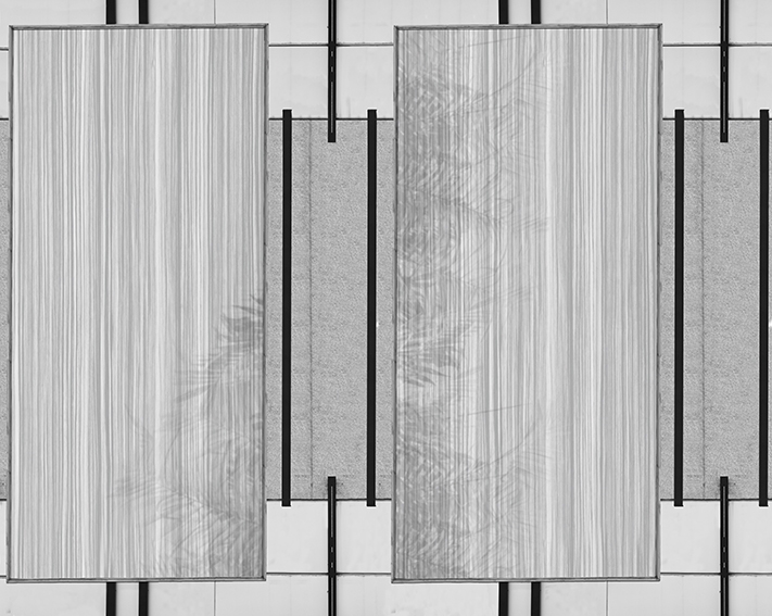 WDRO1701 TAPETA WALL&DECO