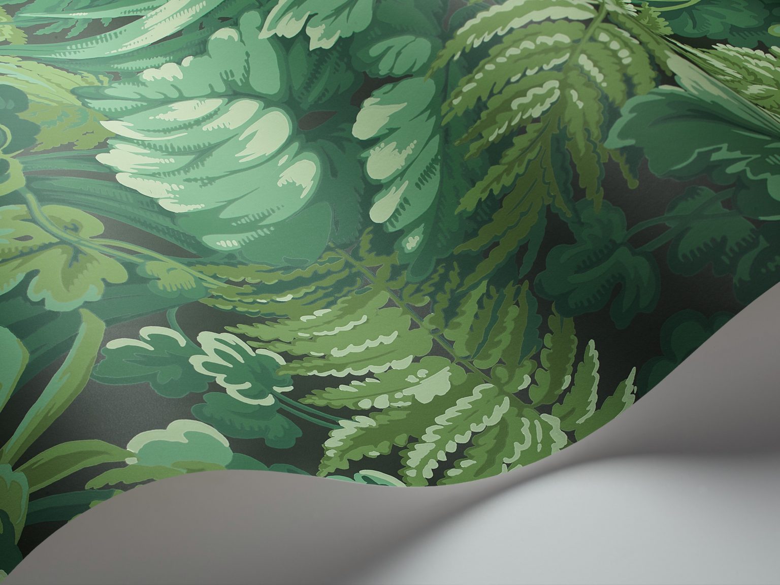 ROYAL FERNERY 113/3009 TAPETA COLE&SON