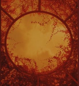 RUBY TUESDAY WDRT2001