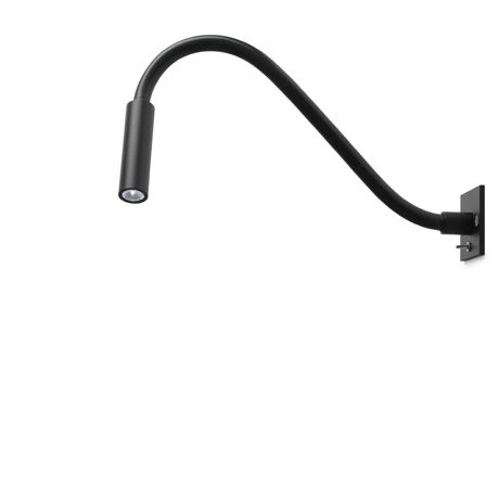 SCAR-LED KINKIET TRIZO21
