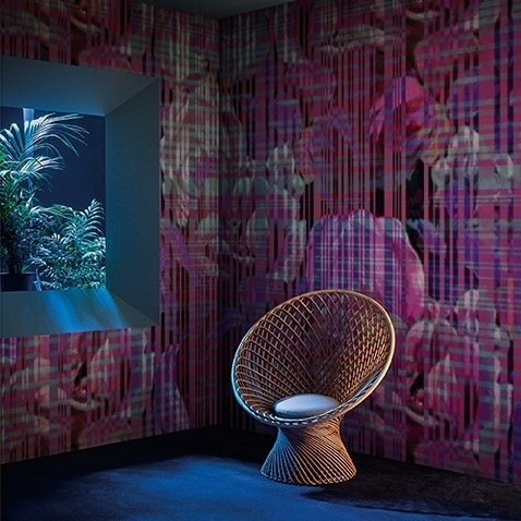 SHOCKING TAPETA WALL&DECO