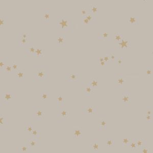 STARS 103/3013 TAPETA COLE&SON