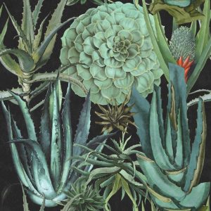SUCCULENTUS TAPETA MIND THE GAP
