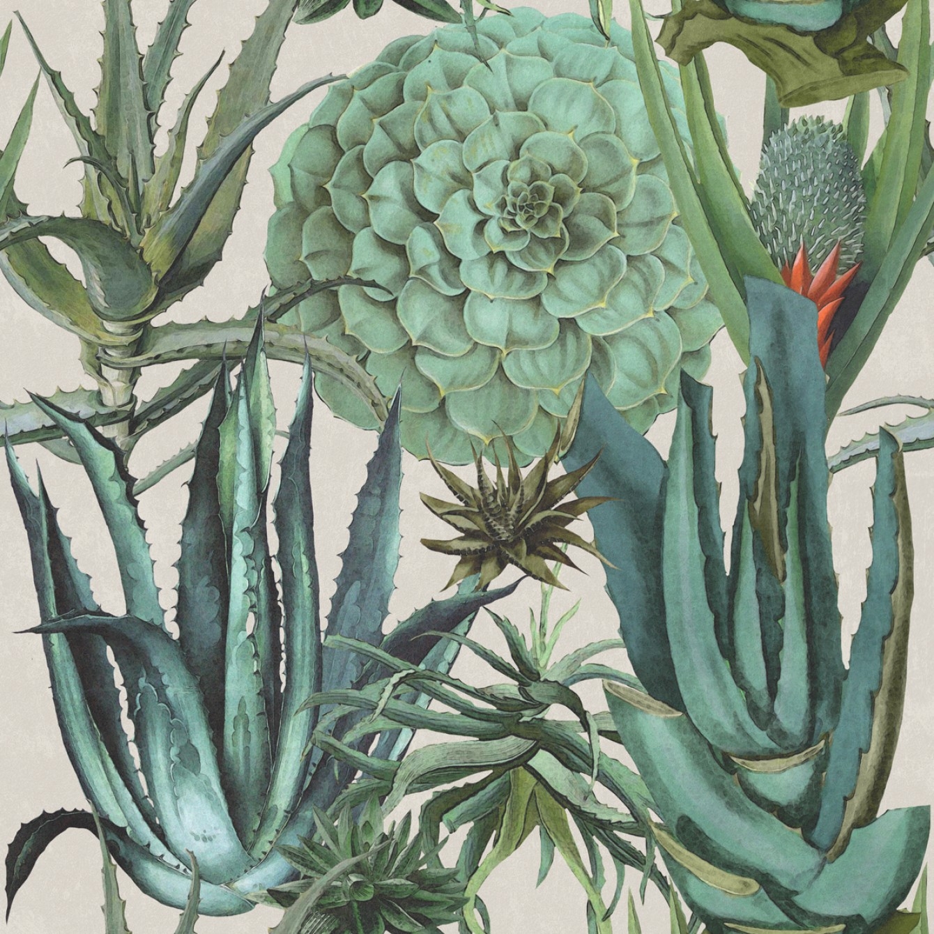 SUCCULENTUS TAPETA MIND THE GAP