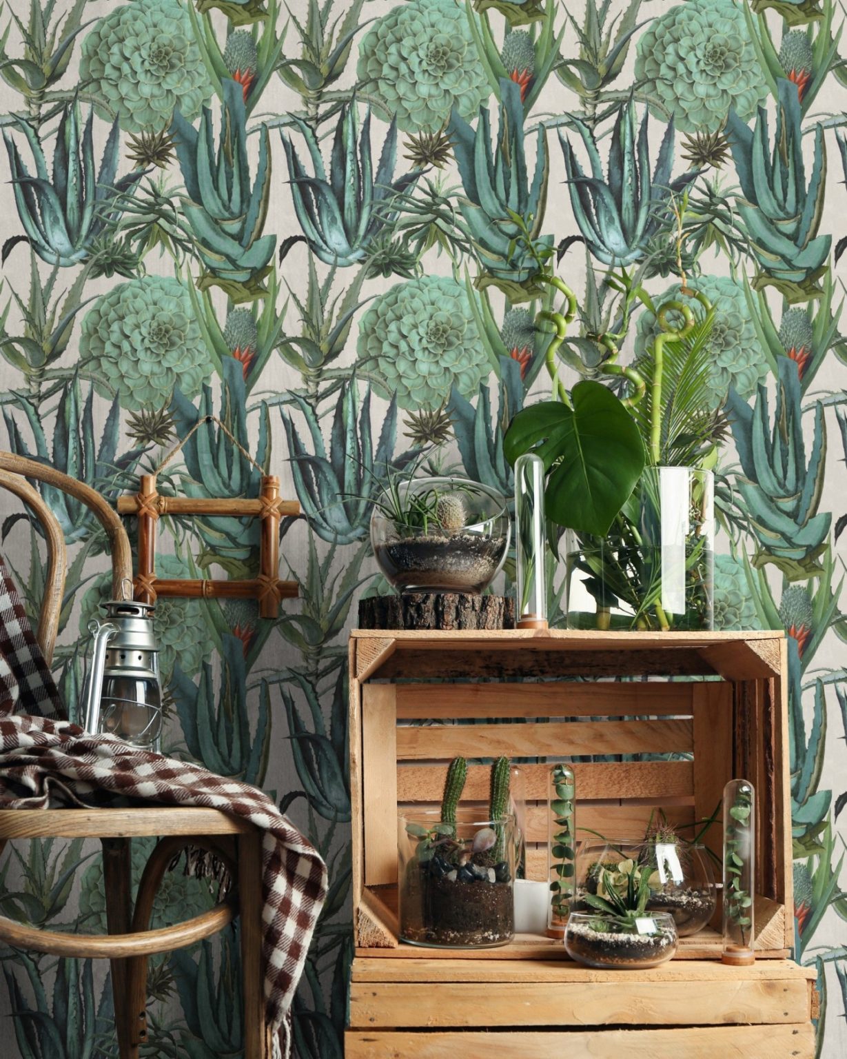 SUCCULENTUS TAPETA MIND THE GAP