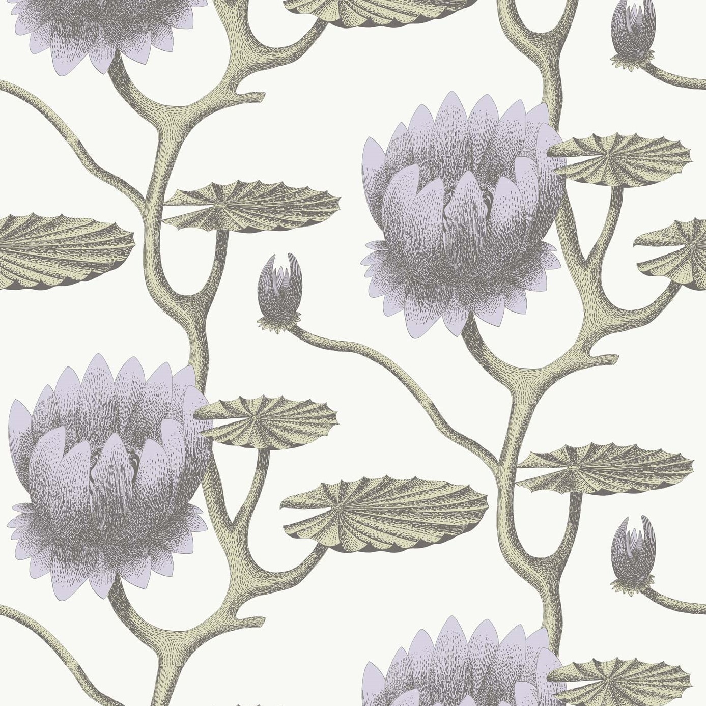 SUMMER LILY 95/4023 TAPETA COLE&SON