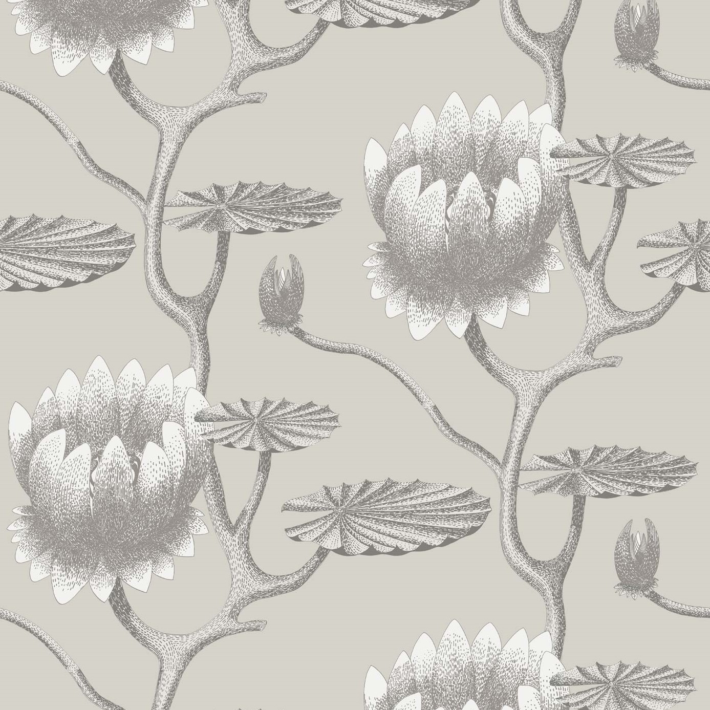 SUMMER LILY 95/4025 TAPETA COLE&SON