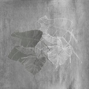 BIOPHILIA WET_BI1902