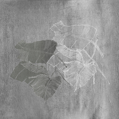 BIOPHILIA WET_BI1902