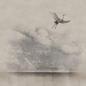 LEARN TO FLY WET_LE1902